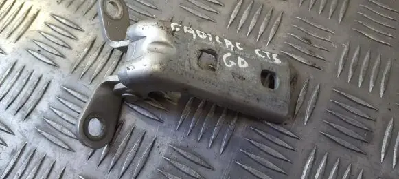 Cadillac CTS Rear door lower hinge