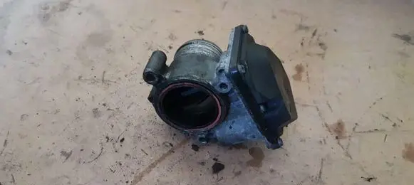 Throttle body valve