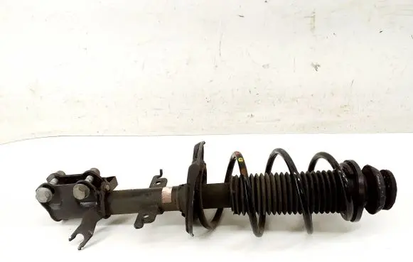 Renault Captur II Front shock absorber/damper 543020474R