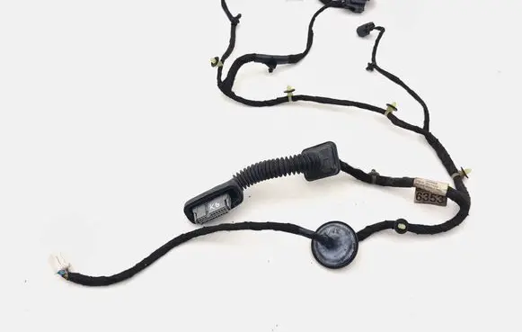 Rear door wiring loom