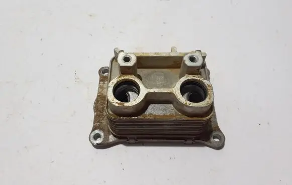 Renault Espace VI Oil filter mounting bracket 213056905R