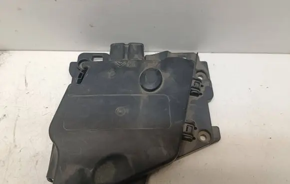 Citroen C3 Picasso Fuse module 9675123880 66652X