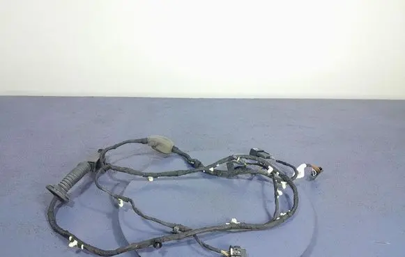 BMW X5 E53 Other wiring loom 8779817