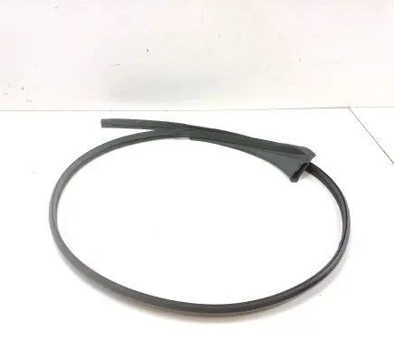 Porsche Taycan 9J1 Rubber seal rear door 9J0853912