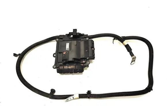 Tesla Model S Other control units/modules 111237900E