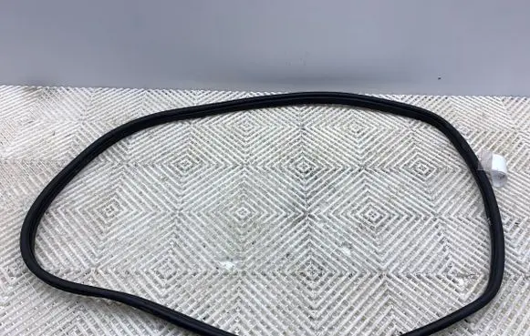 KIA EV6 Rubber seal front door (on door) 