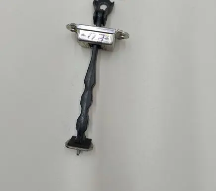 Nissan Leaf II (ZE1) Front door check strap stopper