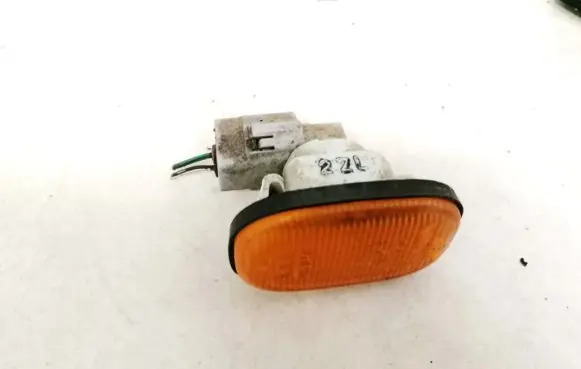 Front fender indicator light