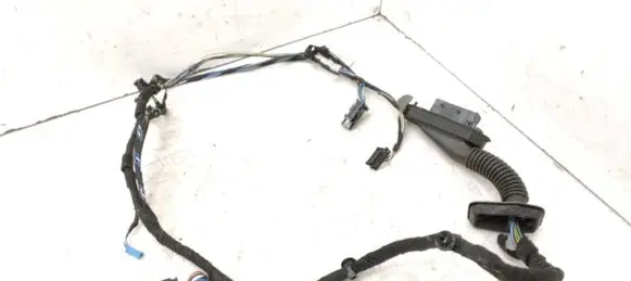 BMW X1 E84 Front door wiring loom 9269940
