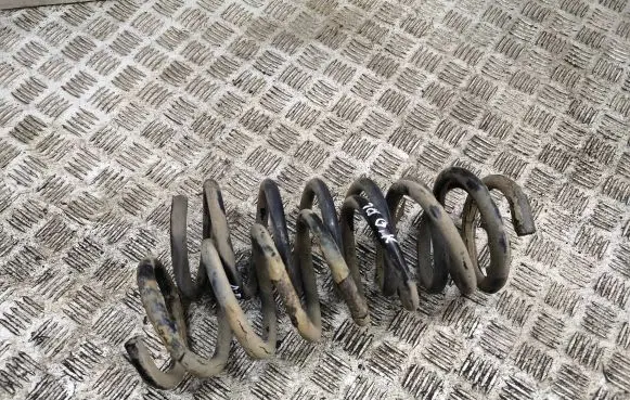 Rear coil spring