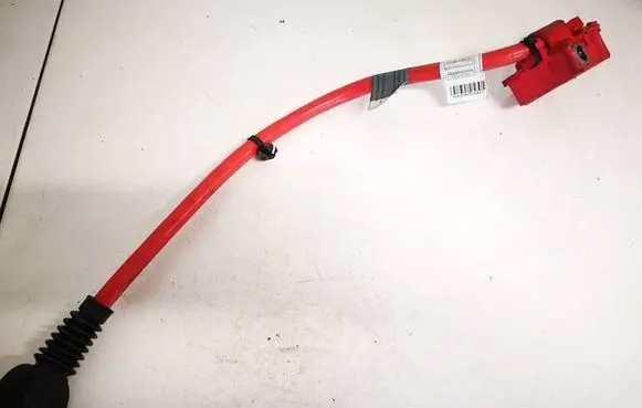 BMW 5 GT F07 Positive cable (battery) 9217034 921703602