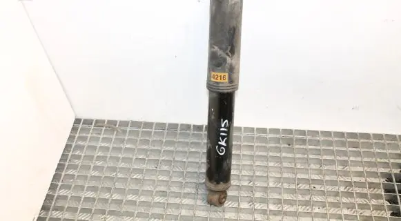 Chevrolet Captiva Rear shock absorber/damper