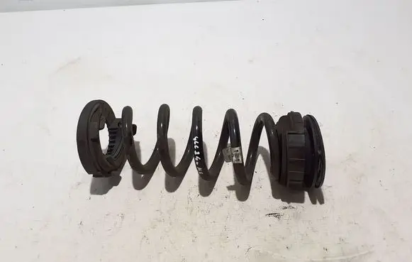 Rear coil spring
