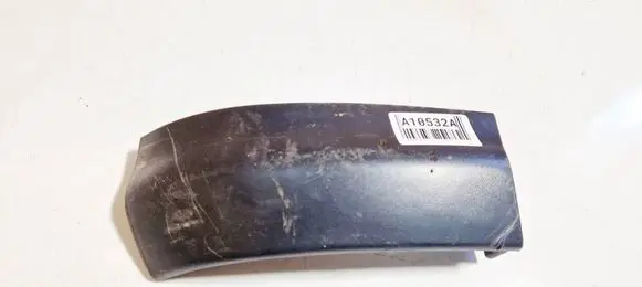 Rear/tail light trim molding