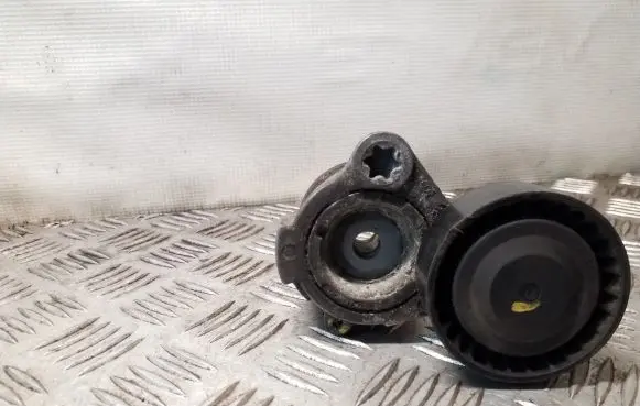 Opel Antara Generator/alternator belt tensioner 