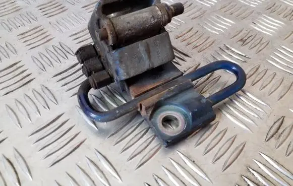 Volkswagen Golf IV Front door lower hinge 