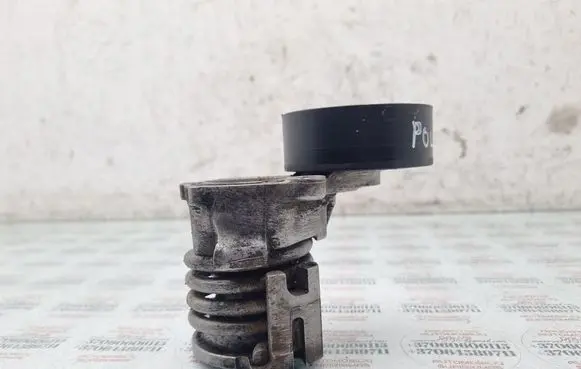 Volkswagen Polo IV 9N3 Alternator belt tensioner 23848108