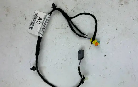 Jaguar I-Pace Other wiring loom J9D314E370 50243524000