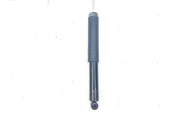 Ford Escape III Rear shock absorber/damper CV6118159 CV6118159AA