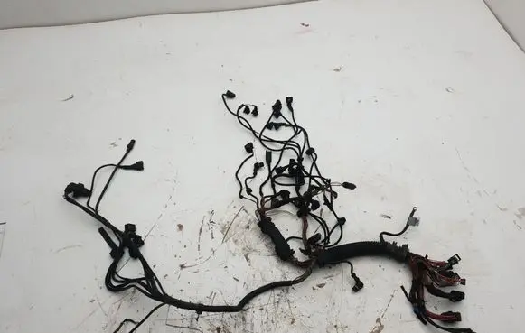 Engine installation wiring loom