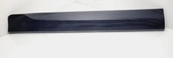 Ford Ecosport Front door trim (molding) CN1520848ACW