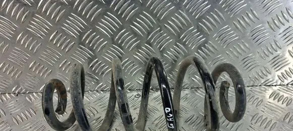 Rear coil spring