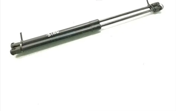 Tailgate/trunk strut/damper