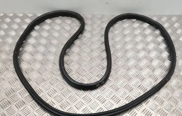 BMW X1 F48 F49 Front door rubber seal 7349628
