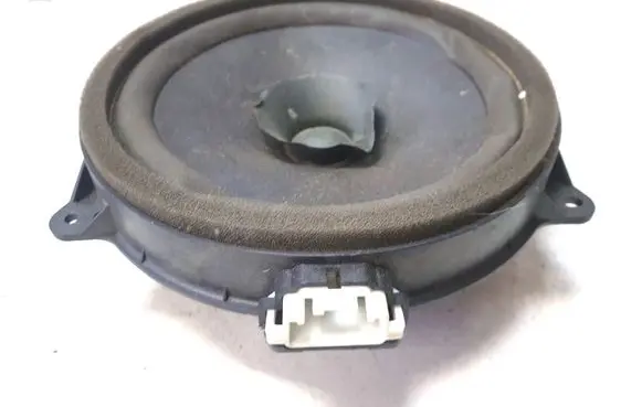 Front door speaker