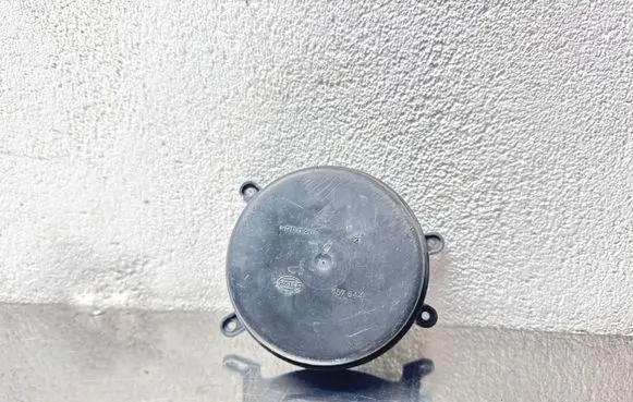 Opel Signum Headlight/headlamp dust cover 157644