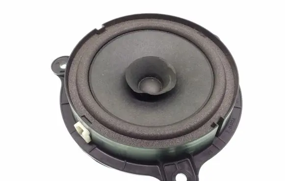 Rear door speaker
