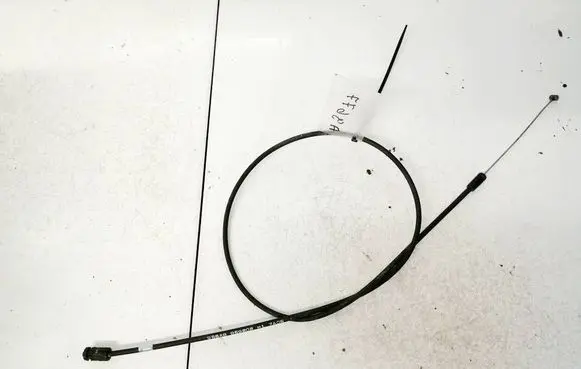 Front door cable line