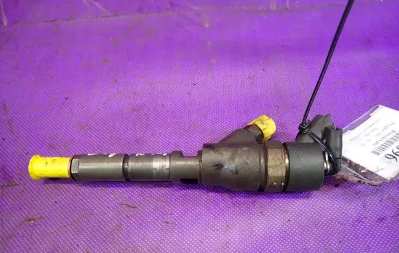 Peugeot 206 CC Fuel injector 0445110076