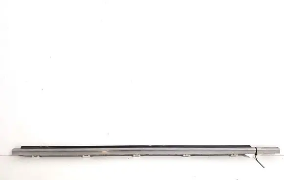 Rear door trim (molding)