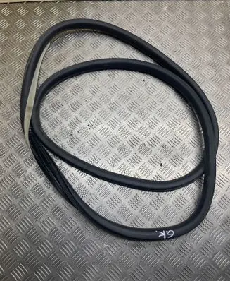 Renault Latitude (L70) Rear door rubber seal (on body) 
