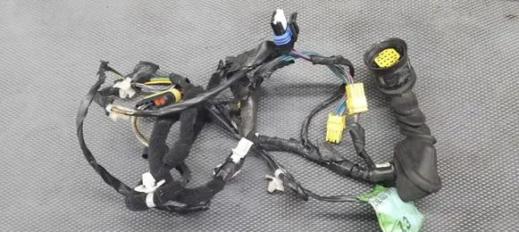 Alfa Romeo 156 Rear door wiring loom 