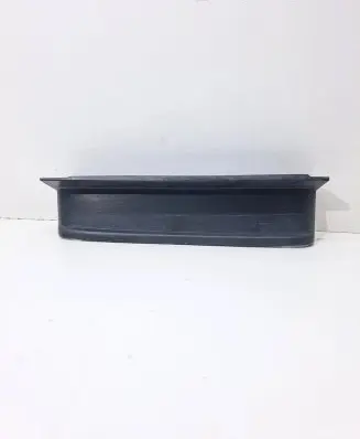 Rear/tail light trim molding