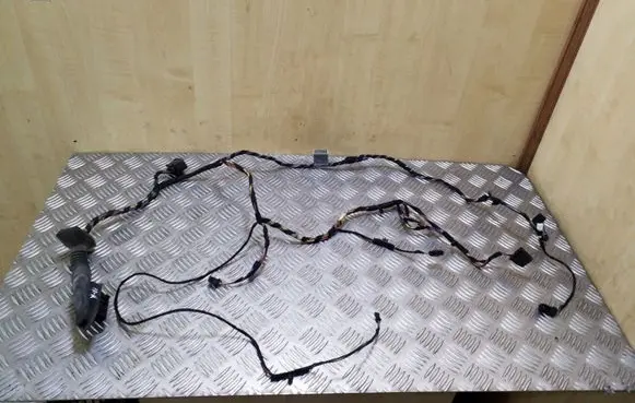 Front door wiring loom