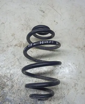 Volkswagen PASSAT B5.5 Rear coil spring