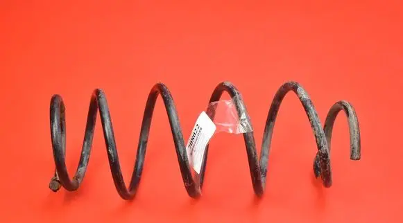 Front coil spring