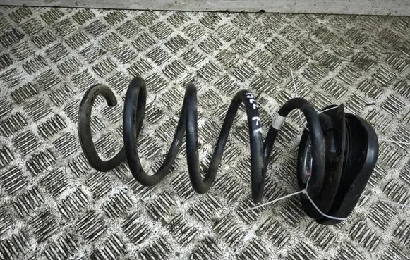 Front coil spring