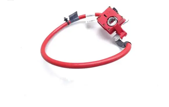 BMW X3 F25 Positive wiring loom 9213668 922509901