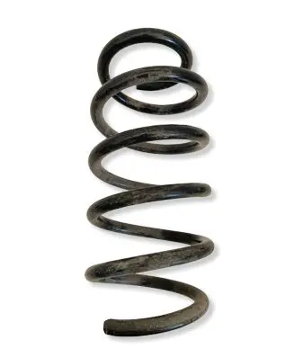 Fiat Ducato Front coil spring 