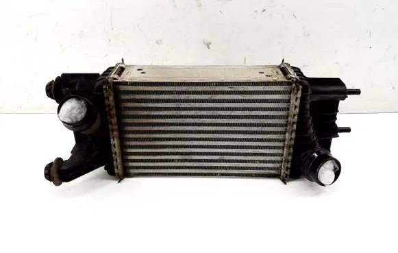 Nissan Juke I F15 Intercooler radiator 144611KB2A