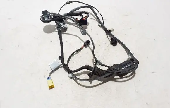 Other wiring loom