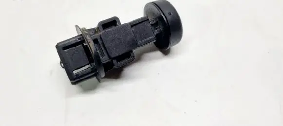 Nissan Qashqai J12 Engine bonnet/hood prop rod/strut 65822BR00A