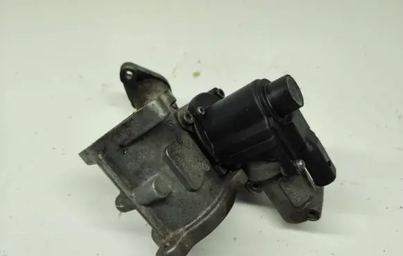 Volkswagen Golf V EGR valve 03G131502