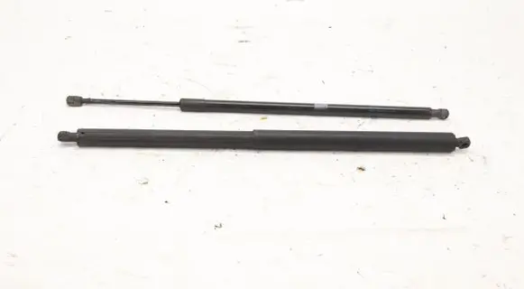 Tailgate strut