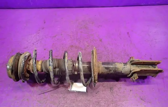 Fiat Idea Front shock absorber with coil spring 