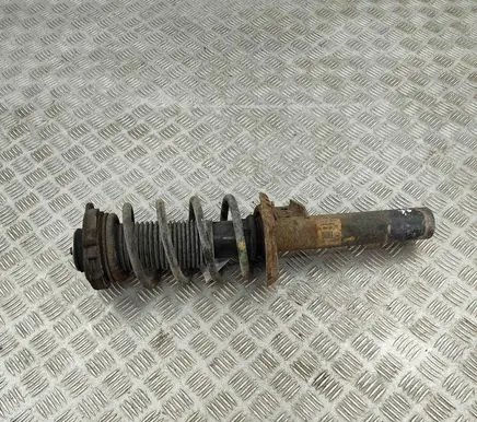 Volkswagen PASSAT B7 Front shock absorber/damper 3C0413031M